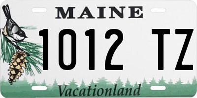 ME license plate 1012TZ