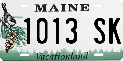 ME license plate 1013SK