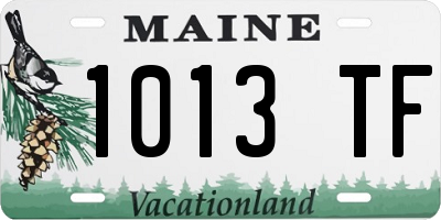 ME license plate 1013TF