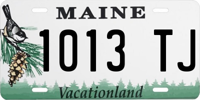 ME license plate 1013TJ