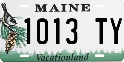 ME license plate 1013TY
