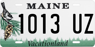 ME license plate 1013UZ