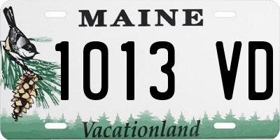 ME license plate 1013VD