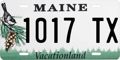 ME license plate 1017TX