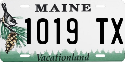 ME license plate 1019TX