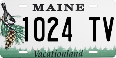 ME license plate 1024TV