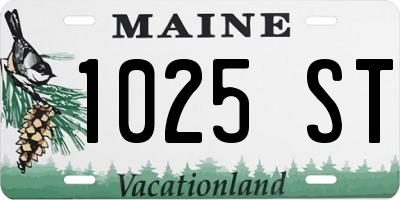 ME license plate 1025ST