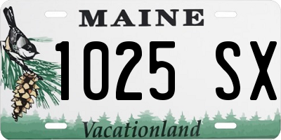 ME license plate 1025SX