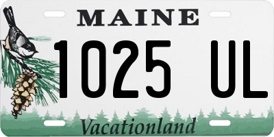 ME license plate 1025UL