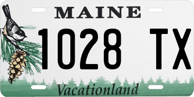 ME license plate 1028TX