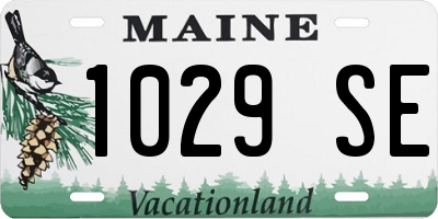 ME license plate 1029SE