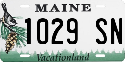 ME license plate 1029SN