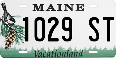 ME license plate 1029ST