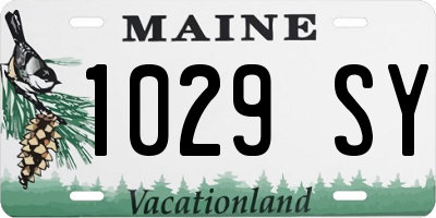 ME license plate 1029SY