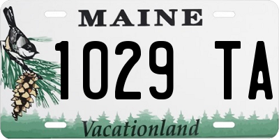ME license plate 1029TA