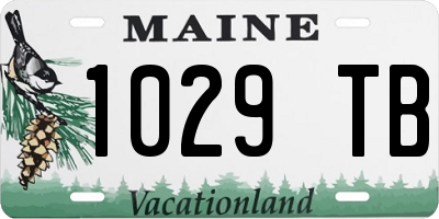 ME license plate 1029TB