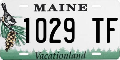 ME license plate 1029TF
