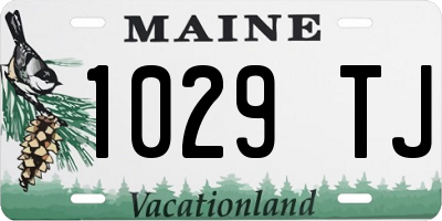 ME license plate 1029TJ