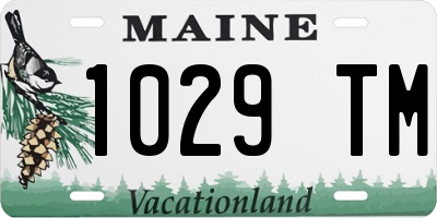 ME license plate 1029TM