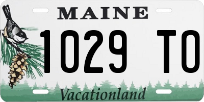 ME license plate 1029TO