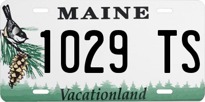 ME license plate 1029TS