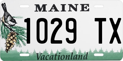 ME license plate 1029TX
