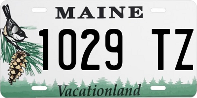 ME license plate 1029TZ