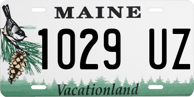 ME license plate 1029UZ