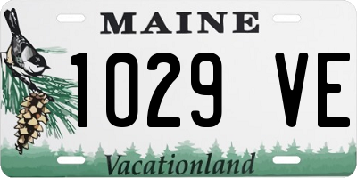 ME license plate 1029VE