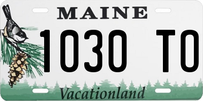 ME license plate 1030TO