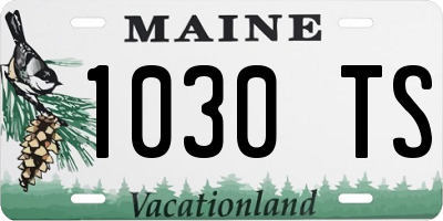 ME license plate 1030TS
