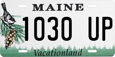 ME license plate 1030UP