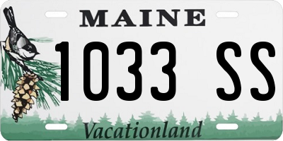 ME license plate 1033SS
