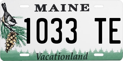 ME license plate 1033TE