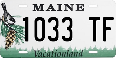 ME license plate 1033TF