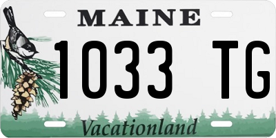 ME license plate 1033TG