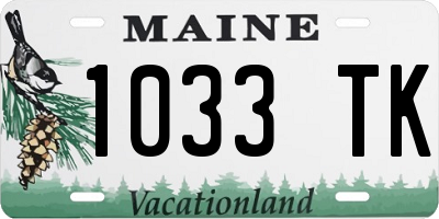 ME license plate 1033TK