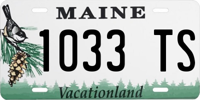 ME license plate 1033TS