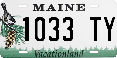 ME license plate 1033TY