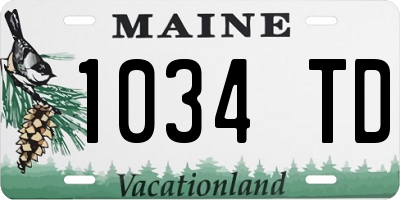 ME license plate 1034TD