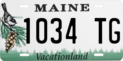 ME license plate 1034TG