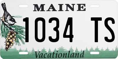 ME license plate 1034TS