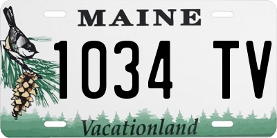 ME license plate 1034TV