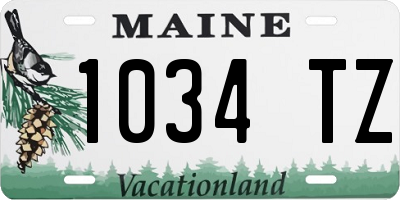 ME license plate 1034TZ