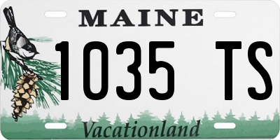 ME license plate 1035TS