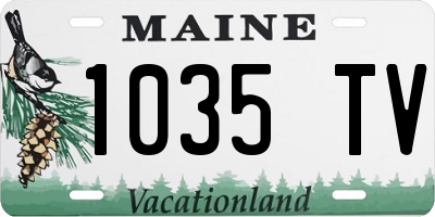 ME license plate 1035TV