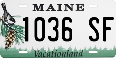 ME license plate 1036SF