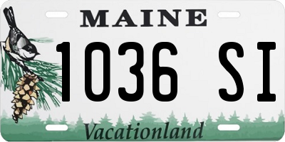 ME license plate 1036SI