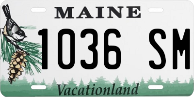 ME license plate 1036SM