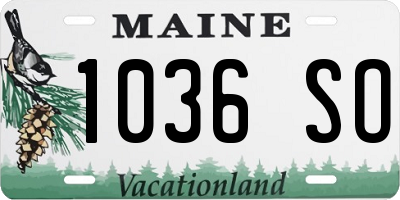 ME license plate 1036SO
